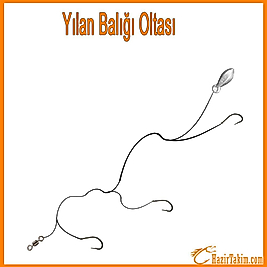 yılan balığı