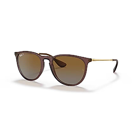 Ray-Ban Rb 4171 6593/T5 54-18 Unisex Güneş Gözlüğü Erika Polarize;