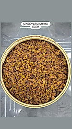 ŞENGÜN 10 NO'LU ÜZÜM (KUTU=5 KG)
