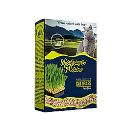 Nature Plan Kedi Çimi (500 g)