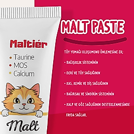 Tüy Yumağı Kontrol Multivitaminli Şekersiz Kedi Macunu 100 gr