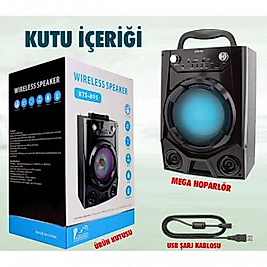 Platoon KTS-895 Büyük Boy Bluetooth SD USB FM Radyolu Işıklı Karaoke Müzik Kutusu (KIRMIZI)