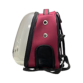 WindPet Bordo Jumbo Astronot Kedi ve Köpek Çantası (47 x 37 x 33 cm)