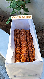 TÜM CEVİZLİ SARI MARAŞ