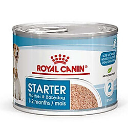 Royal Canin Starter Mousse Anne ve Yavruları İçin Köpek Konservesi 195 Gr