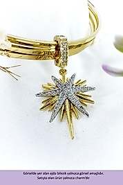 Kutup Yıldızı Model Zirkon Taşlı Çelik Charm