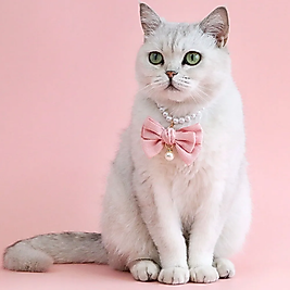 Kedi İnci Kolye