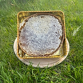 Karakovan Petek Bal (1300gr)