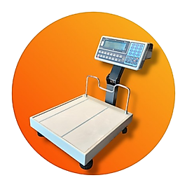 Tem Ege-B LCD 35x40 cm 150 Kg Terazi