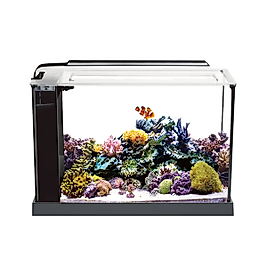 Anubias Evo-V6 52 Nano Akvaryum Siyah 52 x 19 x 30 Cm