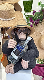 Maymun Model Şişelik, Sunumluk