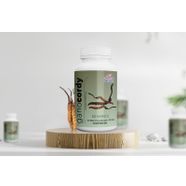 Gano Cordy Kapsül 60 x 525 MG