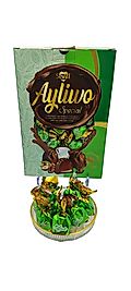 AYLİWO FINDIKLI ÇİKOLATA YEŞİL KUTU