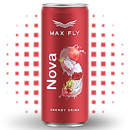 Max Fly Enerji İçeceği Nova 250 mL 24 lü