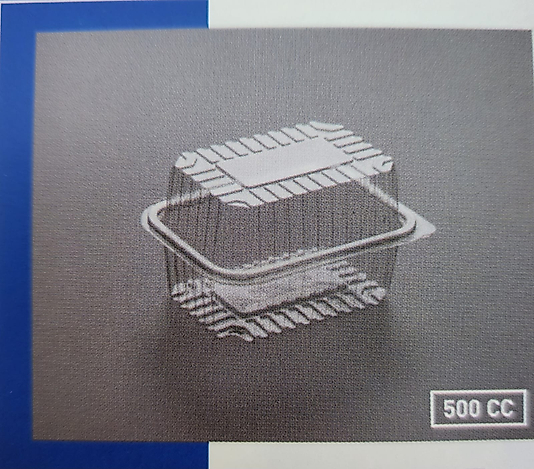 Plastik Kapaklı Ambalaj ( Rentangular ) 500 CC