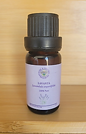 LAVANTA (Lavandula angustifolia)