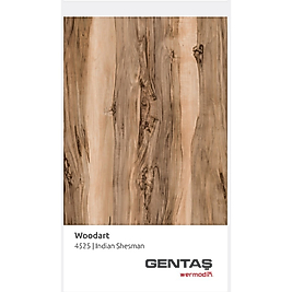 Gentaş Werzalit 80X120 Masa Tablası