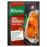 Knorr Fırında Tavuk Çeşnisi Acılı Baharatlı 31 G