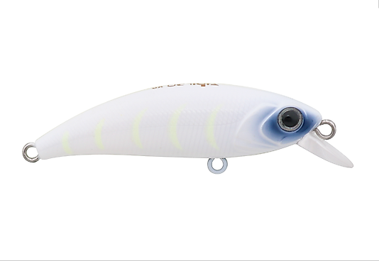 Hanfish Zıpır SPK-58 Purple Head Glow