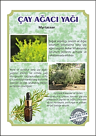 ÇAY AĞACI YAĞI
