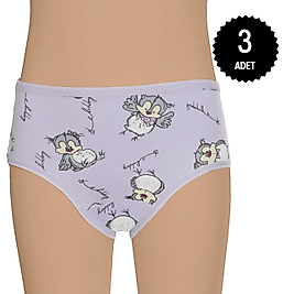 Gümüş 3071 Kız Çocuk Likralı Empirme Slip Külot Karışık 3 lü Paket