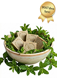MENTOLLÜ NANE SABUNU 1 KG