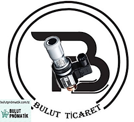 JCS-02N BAŞINÇ ŞALTERİ 1/4  30-210BAR BASINÇ