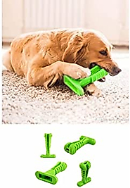 Köpek Diş Fırçası Isırma Aparatı Küçük Boy