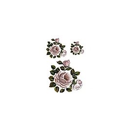 Gülsün Ülkü 17*25 G-167