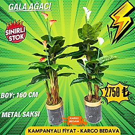 Yapay Gala Ağacı - Silindir Saksı