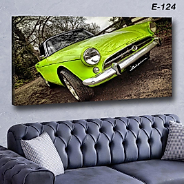 MERCAN MOBİLYA  VE AKSESUAR ,   130*70 YEŞİL ARABA  KANVAS TABLO