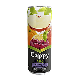 Cappy (25 cl.)
