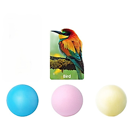 Pet Gravity Cıvıldayan Kedi Oyuncağı