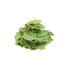 Tokat Asma Yaprağı 500GR