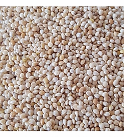 Beyaz darı 1 kg açık