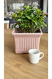 Ova Balkon Saksı No:1 – 27x16 cm, 3.5 Litre Dikdörtgen Saksı