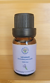 LAVANDIN - MELEZ LAVANTA (Lavandula intermedia)