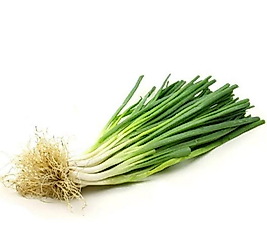 TAZE SOĞAN (1 demet)