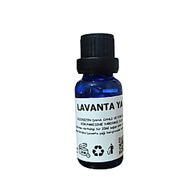 LAVANTA YAĞI