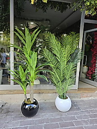 Karbonfiber Küre saksıda 3 Gövdeli Yuka