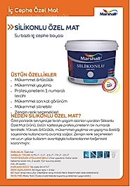 MARSHALL SİLİKONLU ÖZEL MAT 15LT