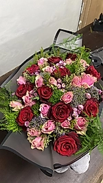 Red-Pink Buket 30's