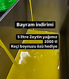 Bayram indirimi Hediyeli