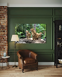 Aslan ve Yavruları Cam Tablo