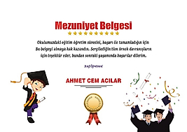 MEZUNİYET BELGESİ