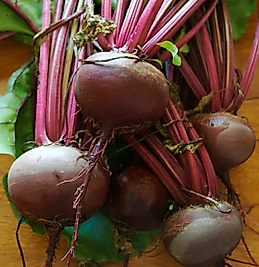 PANCAR (1 kg)
