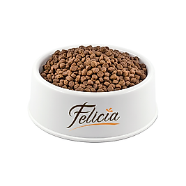 Açık Felicia Hipoalerjenik Kuzu Etli Açık Yavru Kedi Maması