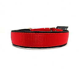 Willypet Büyük Irk Köpek Boyun Tasması 2.5cm * 60 cm