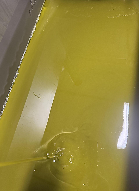 1 litre yeni Erken hasat