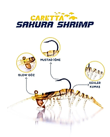 Caretta Sakura Shrimp 76mm 6,5gr Silikon Karides E026